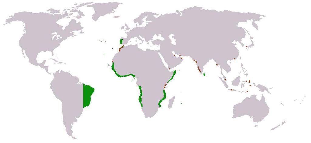 Portugal poseía un imperio colonial desde el siglo XV, que incluía colonias en América, África y Asia.