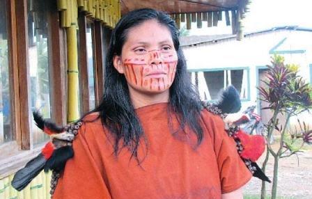 La ruta de la cocaína: las comunidades nativas del Perú En el recorrido de la ruta terrestre y fluvial del narcotráfico, existen organizaciones nativas Ashánincas, Nomatsiguengas, Amueshas,