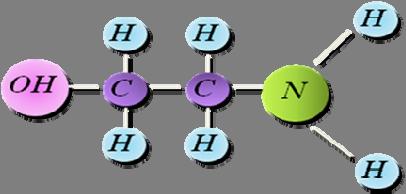 Capítulo II Marco Teórico Grupo OH Hidrocarburo Figura N 1: Estructura de una Amina Grupo Amino Publicaciones recientes consideran que el grupo