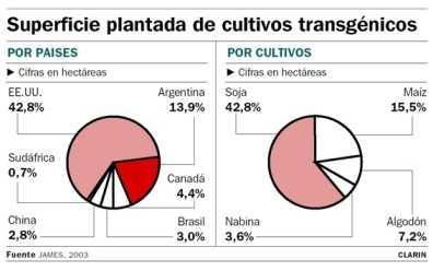 ARGENTINA Argentina cultiva el 13% de la superficie con transgénicos.