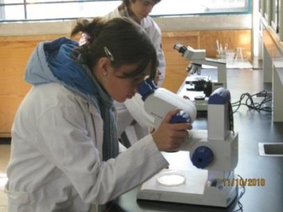 Responsable de la actividad: Un profesor del Área de Ciencias Experimentales 4. Curso- taller de microbiología y medios de cultivo.