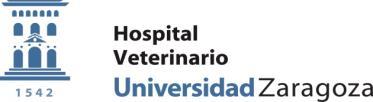 Resolución de 11 de junio de 2018, de la Directora del Hospital Veterinario de la Universidad de Zaragoza, por la que se convocan 10 becas de apoyo para la realización de un internado de formación