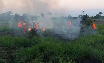 Madre de Dios: bomberos y Ejército extinguen incendio forestal ocurrido en distrito Las Piedras Personal de Bomberos, con apoyo del Batallón de Ingeniería de Montaña del Ejército del Perú, lograron