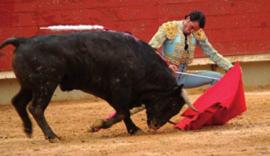 3 de marzo de 1986 PRIMER GRAN TRIUNFO El primer triunfo de un torero con los victorinos en esta plaza fue el de Ruiz Miguel. Cortó tres orejas y abrió la puerta grande.