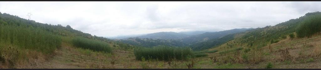 DESCRIPCIÓN DEL PROYECTO Búsqueda de zonas potenciales para su uso Terrenos agrícolas abandonados ACTIVIDAD MINERA de Asturias ha provocado la generación de extensas superficies ociosas con buenos