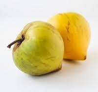 Perspectivas 1 Exportación de fruta como: Zapote (Pouteria campechiana),