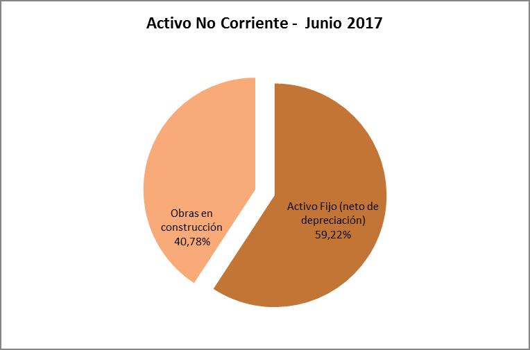 La participación de las cuentas más representativas al 30 de junio de 2017, respecto del Activo No Corriente se la puede apreciar en el siguiente gráfico: Gráfico No.