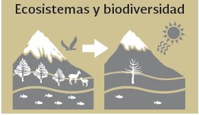 El establecimiento y conservación de las áreas naturales protegidas y corredores biológicos XIII. Los programas de conservación y aprovechamiento sustentable de la biodiversidad XVIII.