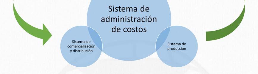 4 Función del contador administrativo y de costos.