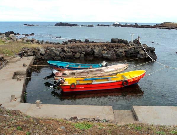 Foto portada: Caleta Vahiu, Isla de Pascua, V región el faro Boletín Pesquero Artesanal del Servicio Nacional de Pesca y Acuicultura Junio 2015