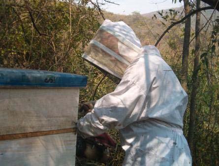 Proyecto Santa Rosa Los Negros Avances: ~1500 ha de bosque nubosos ya protegidas 43 agricultores participan del esquema 120 cajas de abejas entregadas La Municipalidad contribuyó con US$ 2000 50