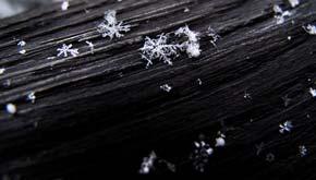 Nieve, Nieve Granulada (Snow Grains), Granos de Hielo (Ice Pellets-Sleet), Granizo Blando (Graupel) o