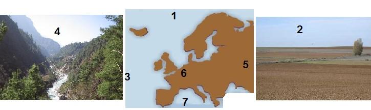 EXERCICI 15. Digues si aquestes afirmacions són certes (C) o falses (F): C Europa és un continent petit. C Al nord d'europa es troba l'oceà Glacial Àrtic. El mar Mediterrani està a l'est d'europa.