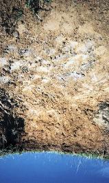 73 Fotografía 14. Perfil de suelo, Typic Dystrudepts, desarrollado a partir de roca de lutitas, la cual, se manifiesta continúa a partir 35 cm de profundidad.