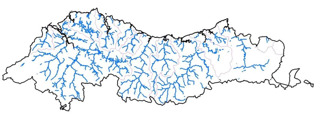 3.4. DEFINICIÓN DE LA RED DE ANÁLISIS La red hidrográfica de análisis comprende los tramos fluviales sobre los que posteriormente se evaluará el riesgo de inundación y, por tanto, su definición