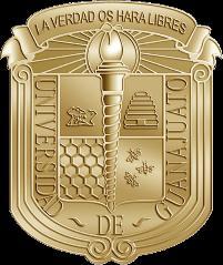 Descripción de los cursos de Idioma Español Curso semestral El Departamento de Lenguas de la Universidad de Guanajuato ofrece el curso extensivo de Español para Extranjeros, durante los periodos