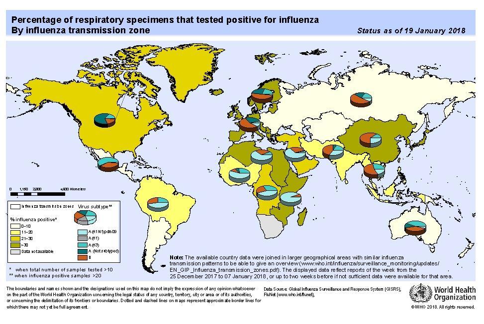 Global Level / Nivel Global Influenza Global Update 307. / Actualización de influenza nivel global 307.