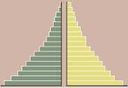 3. PIRÁMIDES DE POBLACIÓN Qué aspectos pueden comentarse a través de una pirámide?