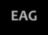 EAG Un ensayo aleatorizado por grupos (EAG) Es aleatorizado al nivel del grupo social (por ejemplo, pueblo, hospital, escuela) en lugar de participantes