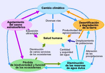 Los Ecosistemas y la Salud La alteración de los ecosistemas puede repercutir en la salud de diversas formas y por vías complejas.