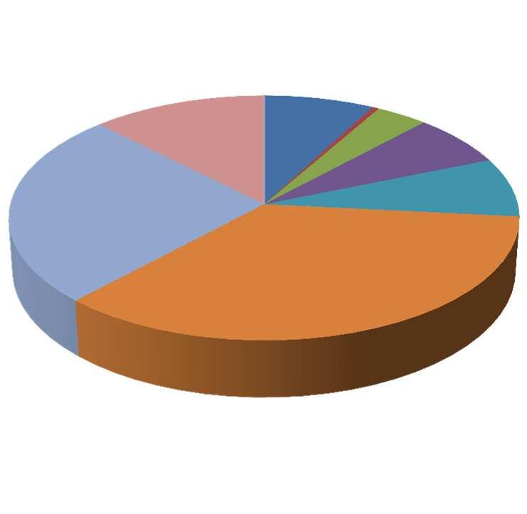 Resultados: Biotipo (%) Caméfito 26 12 8 4 0,5 7 8 Epífita Escandente Geófito 35 Hemicriptófita