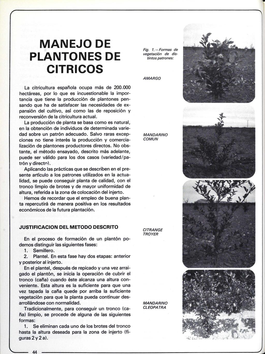 MANEJO DE PLANTONES DE CITRICOS La citricultura española ocupa más de 200.