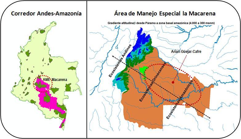 Dimensión ambiental del AME Macarena - Macro regionalmente se encuentra localizado en áreas identificadas como prioritarias para la conservación de la cuenca