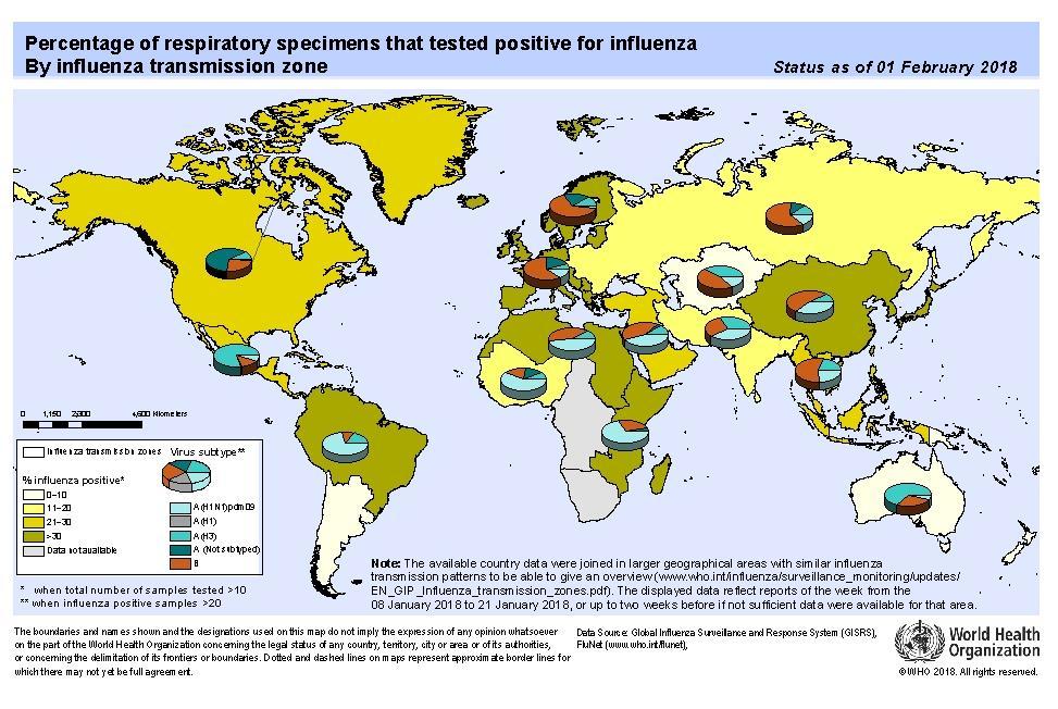 Global Level / Nivel Global Influenza Global Update 308. / Actualización de influenza nivel global 308.