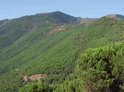 geológicas se localiza en Sierra Bermeja.