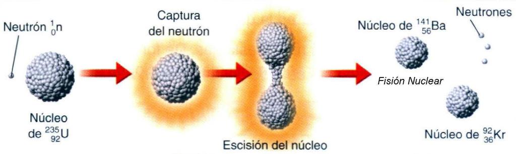 FISIÓN NUCLEAR La fisión nuclear, es una reacción nuclear donde un núcleo pesado se divide en otros dos más livianos al ser bombardeado con neutrones.
