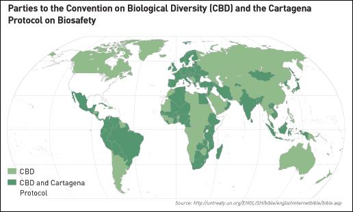 Lograr un equilibrio en la región más biodiversa del planeta, entre los tres objetivos del Convenio sobre la Diversidad Biológica:
