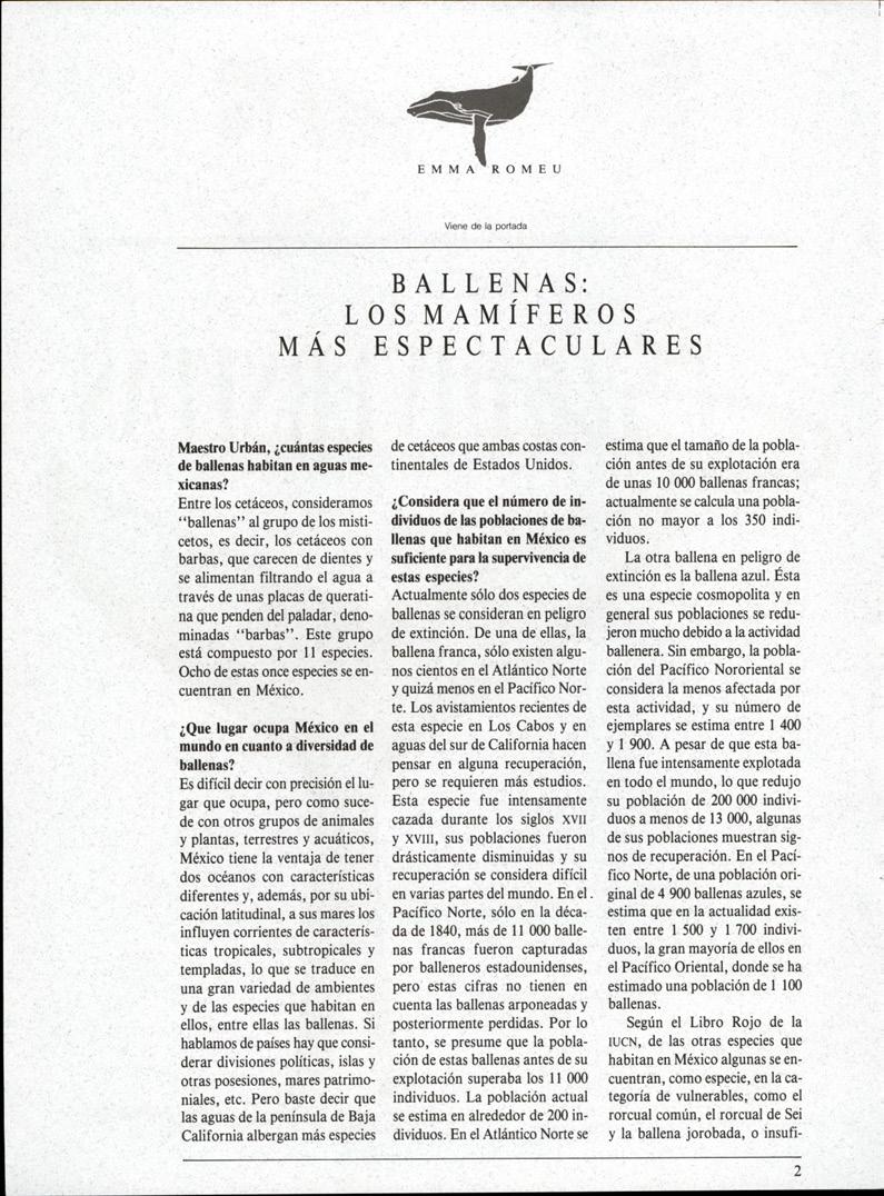 Viene de la portada BALLENAS: LOS MAMÍFEROS MÁS ESPECTACULARES Maestro Urbán, cuántas especies de ballenas babitan en aguas mexicanas?