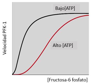 18. La siguiente gráfica indica la velocidad inicial (Vo) de la reacción catalizada por una enzima en función de la concentración de su sustrato.