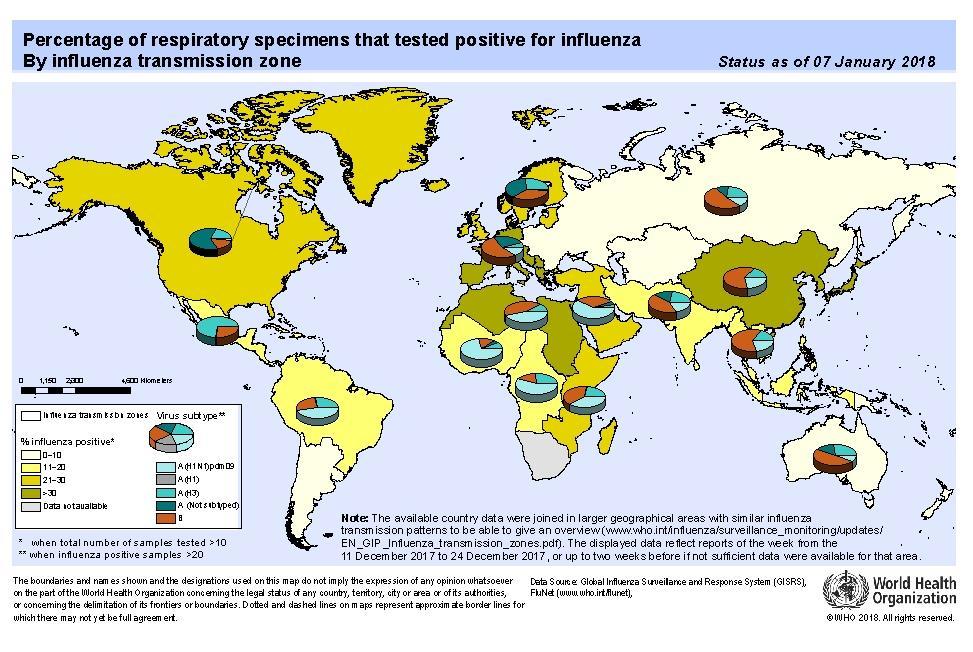 Global Level / Nivel Global Influenza Global Update 306. / Actualización de influenza nivel global 306.