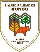 REPUBLICA DE CHILE MUNICIPALIDAD DE CUNCO MANUAL DE FUNCIONES