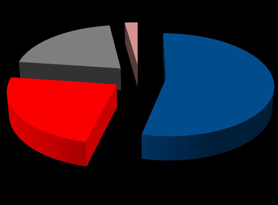 Oficina de Información Ciudadana TIPO DE SOLICITUD 2% 23% 21% 54%
