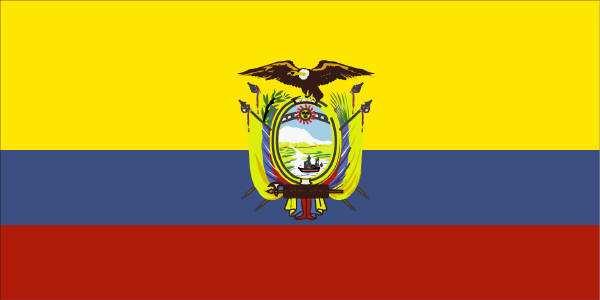 El Estado colombiano ha hecho compromisos con la comunidad internacional y esta obligado por la Constitución y las leyes a respetar, proteger y garantizar los derechos humanos, tanto en el ámbito