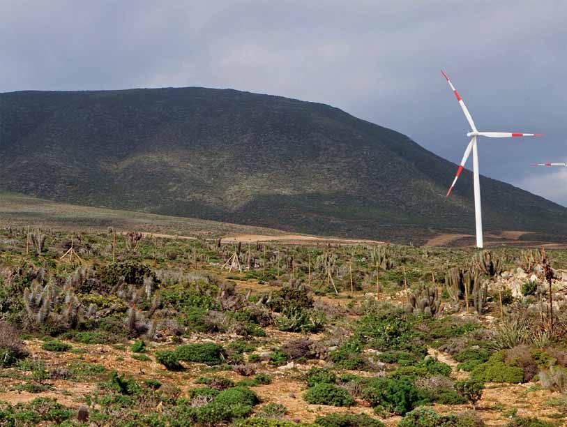 sustentabilidad Parque Eólico El Arrayán Generación del viento El Arrayán cuenta con 50 aerogeneradores Siemens, de una capacidad de 2,3 Megavatios, cada uno.
