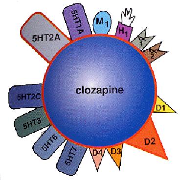 Clozapina Es el prototipo de atípico. Tiene múltiples acciones farmacológicas, de lo mas complejo de la psicofarmacología.