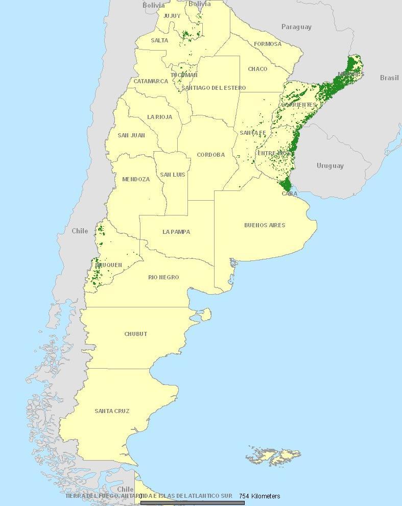 PROBLEMAS La enorme mayoría de las plantaciones forestales en argentina se concentran en las provincias del litoral y se restringe casi exclusivamente a sólo tres grupos de especies: Pinos,