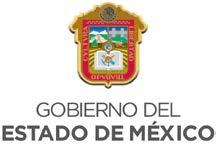 2017, Año del Centenario de las Constituciones Mexicana y Mexiquense de 1917. Méx., de de 2017 Asunto: autorización PROFR.