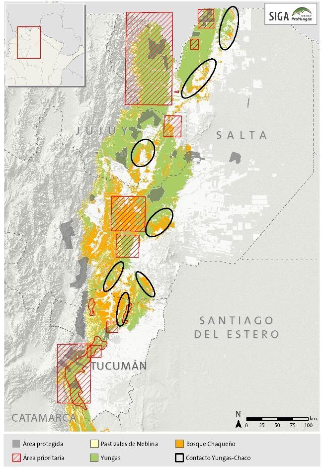 Recopilación de información y relevamiento de campo Valores de Conservación a escala regional, de paisaje y predial Áreas prioritarias de conservación de la transición Yungas-Chaco En un contexto