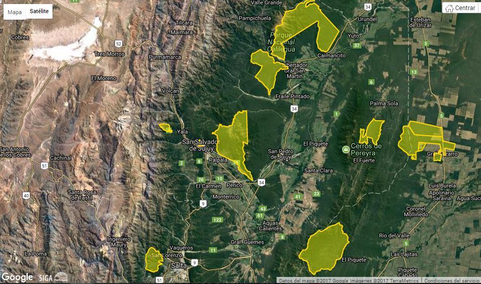 Yaguareté. Rectángulo amarillo señala el área del proyecto RN66-RN34.