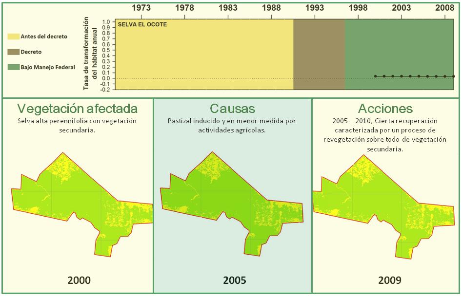 Figura 8. Tasa Anual de Transformación del Habitat de la RB Selva El Ocote.