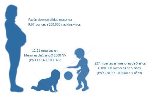 PERFIL DE MORTALIDAD En el año 2015 se produjeron 1.661 defunciones no fetales, 40% más que en el 2010.