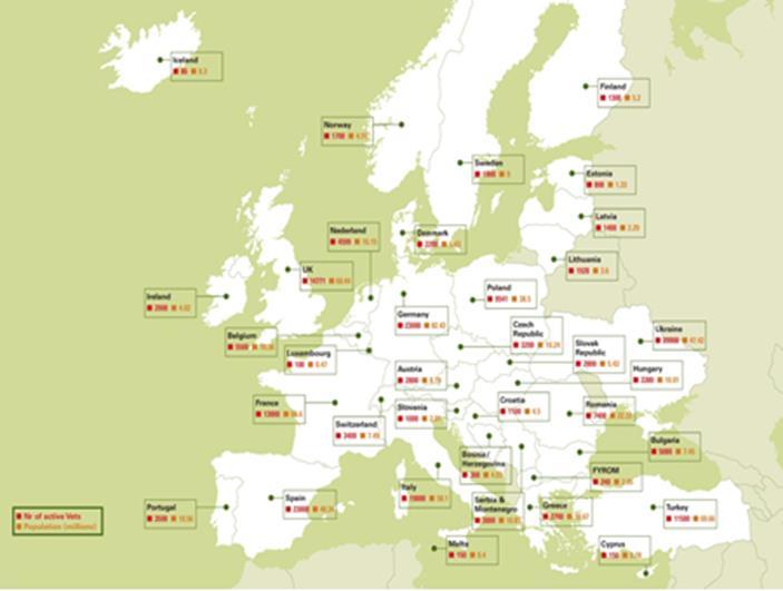 Federación de veterinarios de Europa 46 Asociaciones nacionales 38 Países Europeos Fundada en 1975 www.fve.