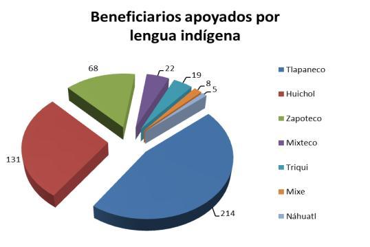 Acciones realizadas Al mes de diciembre de 2010, se apoyaron a 467 jefes de familia de indígenas desplazados, con el mismo número de proyectos, conformados en 13 grupos con un total de 1,306