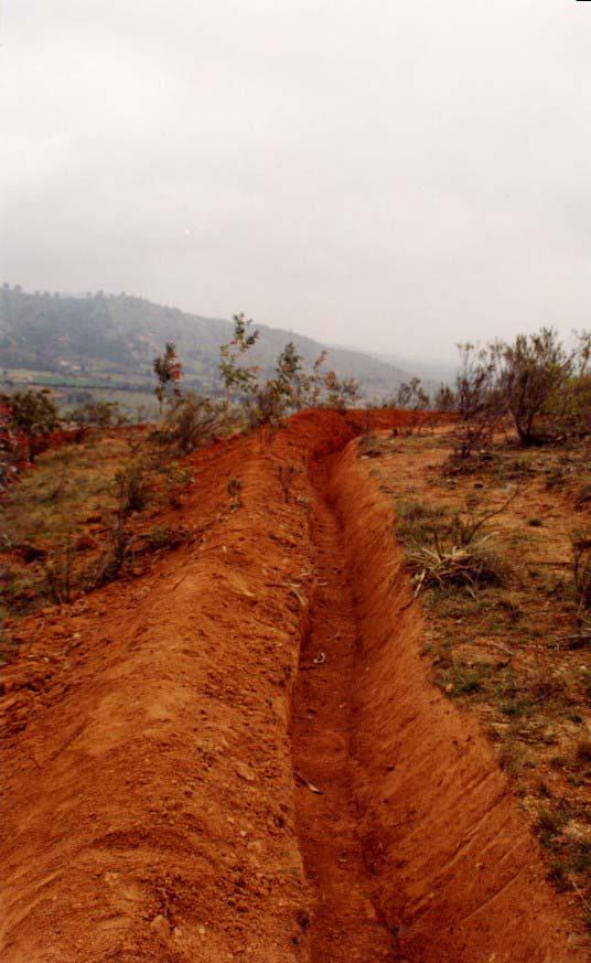 Zanja de Infiltración n y Canal de desviación CANAL DE DESVIACION: Obra de recuperación de suelos, manual o mecanizada, que se sitúa preferentemente en la parte superior o media de la ladera para