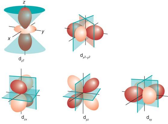 Química Inorgánica Estructura atómica 7 Figura 14. Representación de las superficies límite de los orbitales p. Figura 15. Representación de las superficies límite de los orbitales d.
