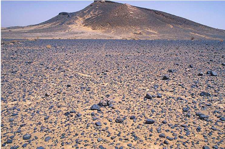 Erg o desierto arenoso: Se produce por la